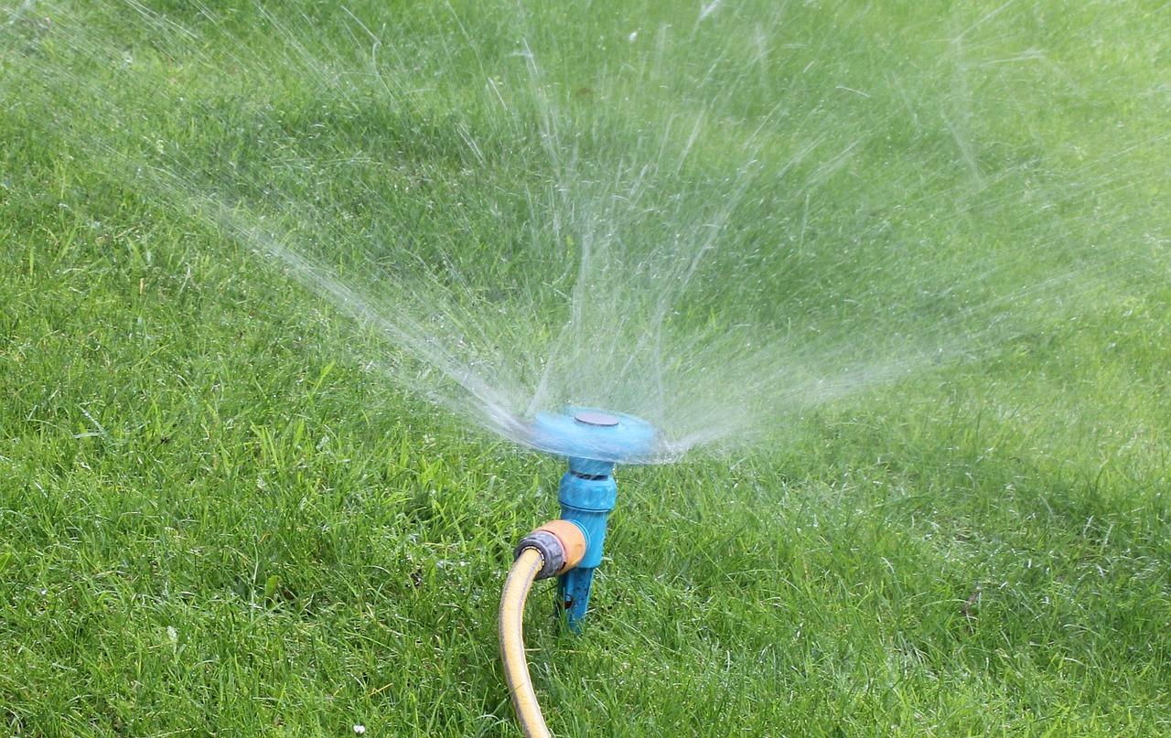 Watering lawn grass for seasonal care