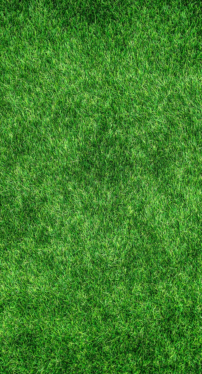 Fertilizing lawn grass for seasonal care