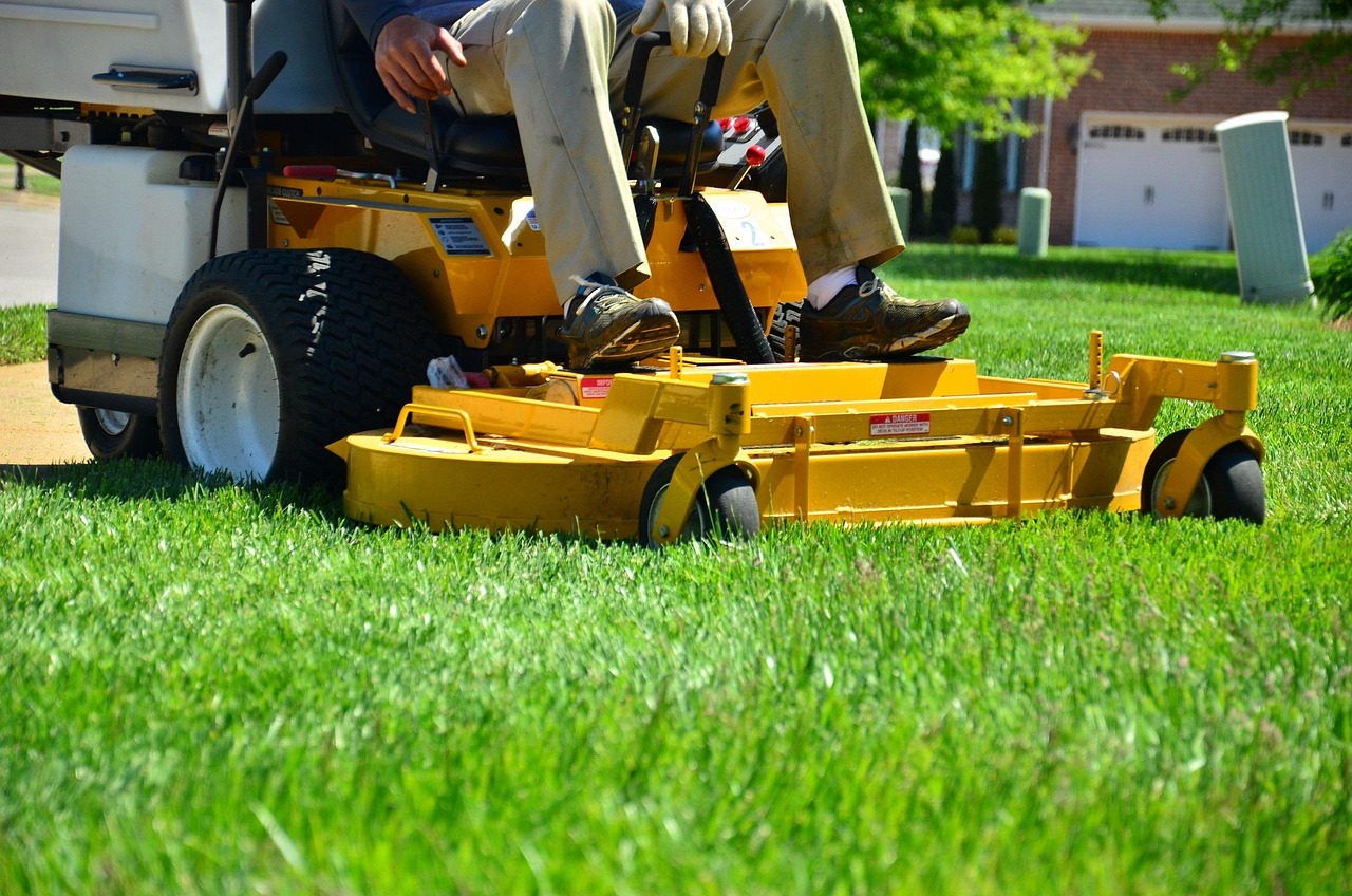 Understanding Weed and Feed Products - weed control lawn care