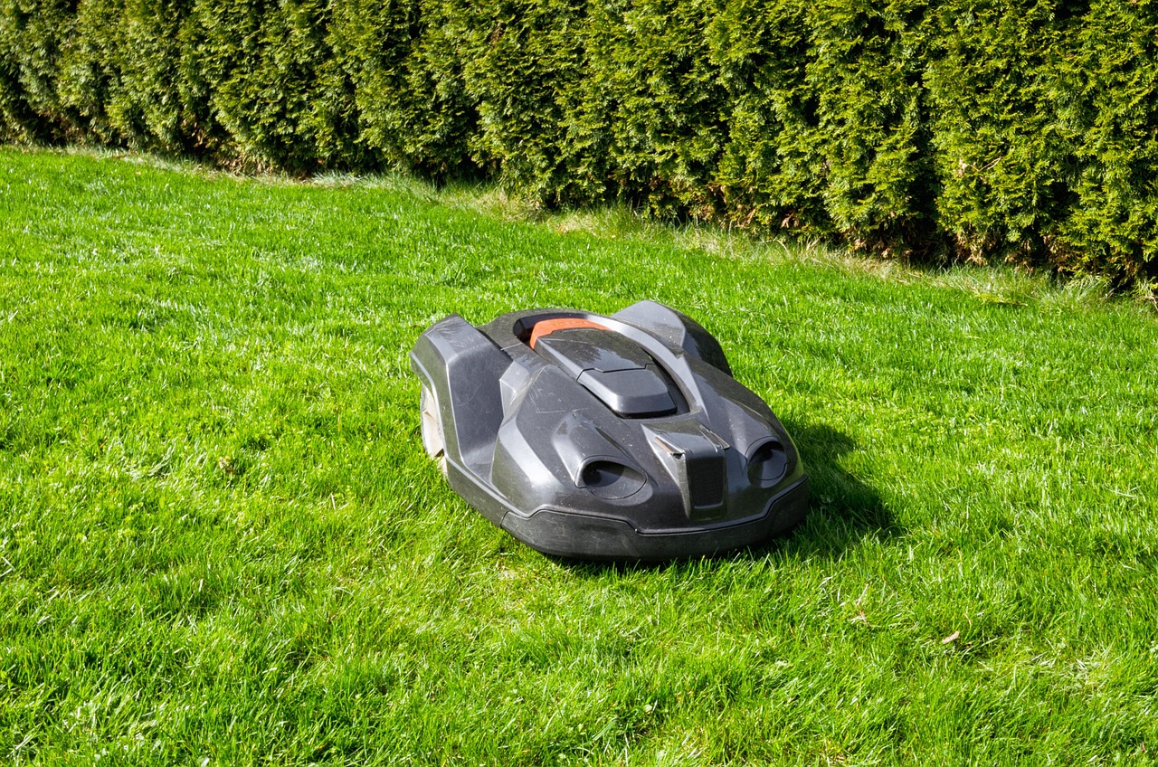 When and Why to Use Pre-emergent vs. Post-emergent Weed Control - weed control lawn care