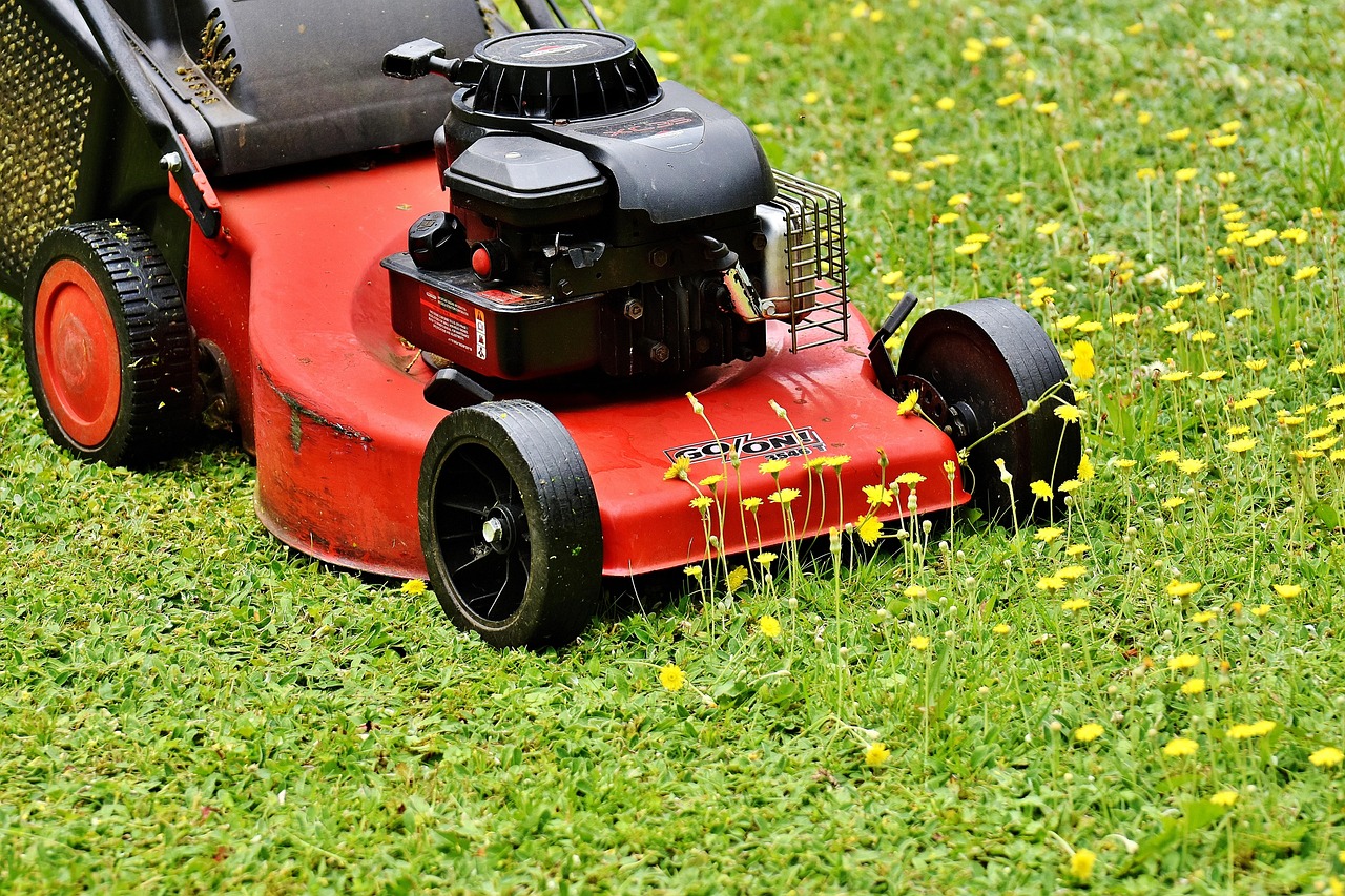 Cultural and Preventive Strategies to Deter Summer Lawn Pests - pest control lawn care