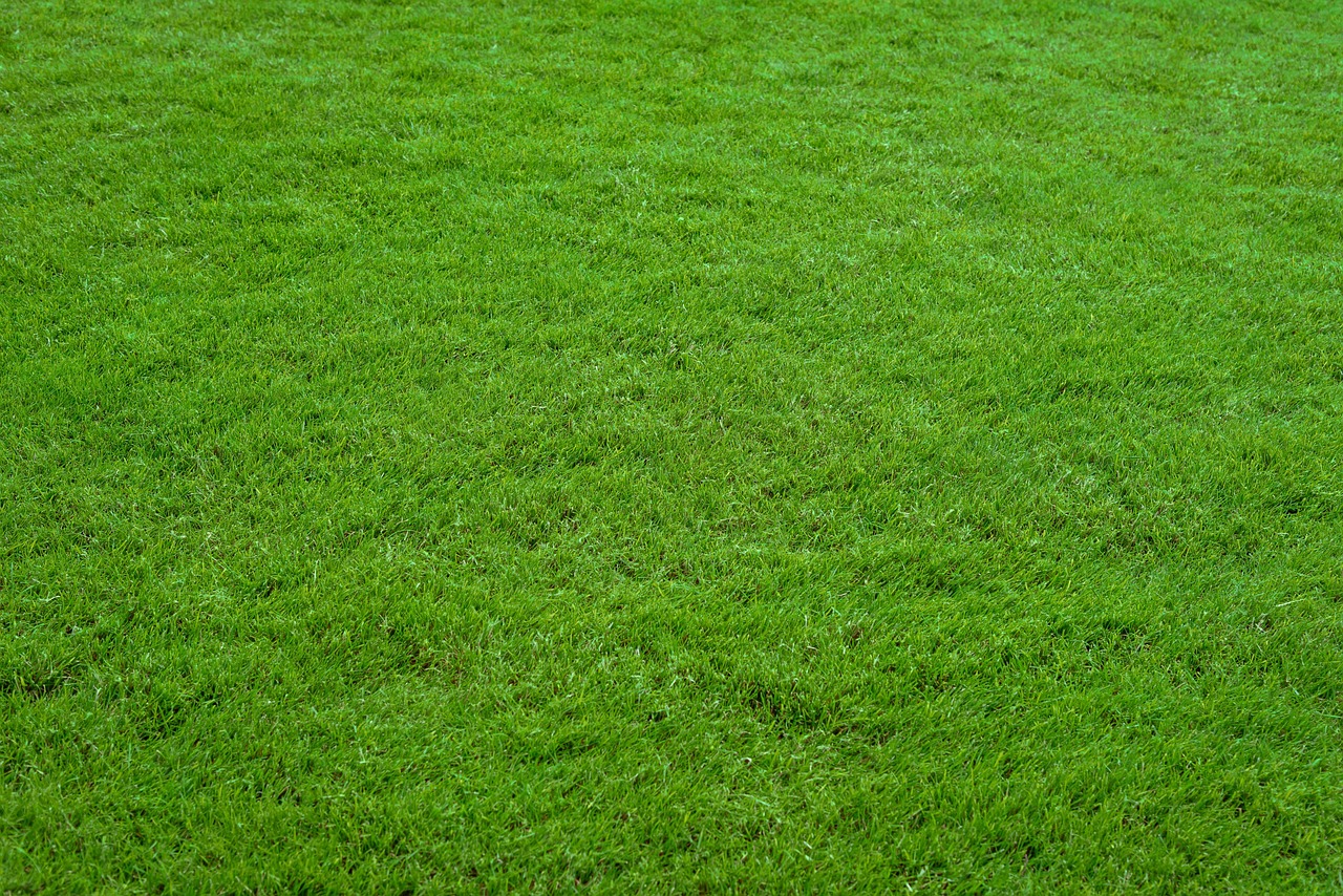 Understanding Your Lawn’s Summer Watering Needs - watering lawn care
