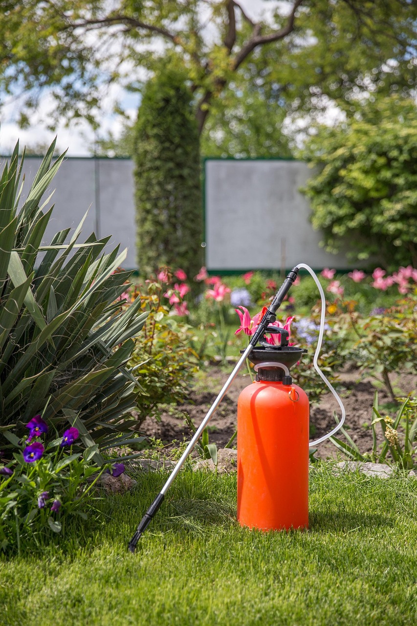 How to Choose the Best Fertilizer for Your St. Augustine Lawn