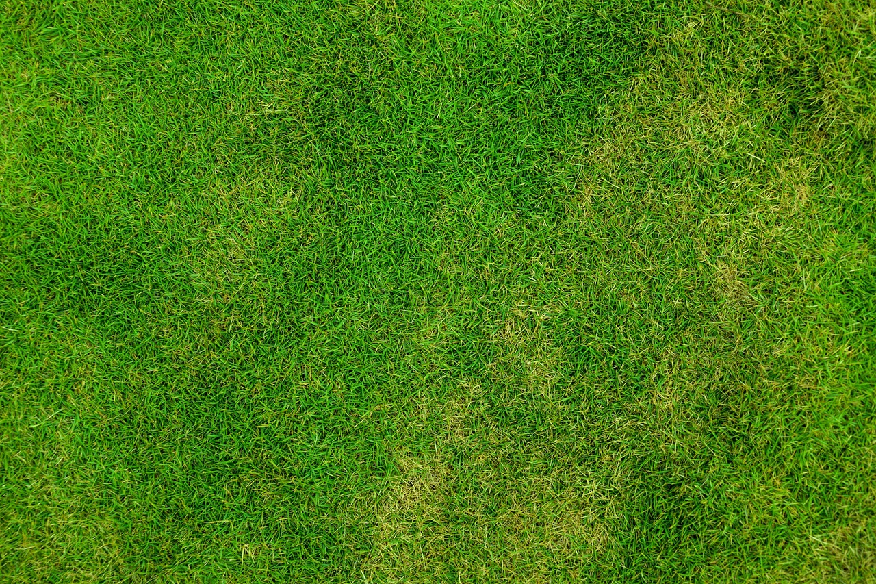 NPK Targets for Georgia Bermuda
