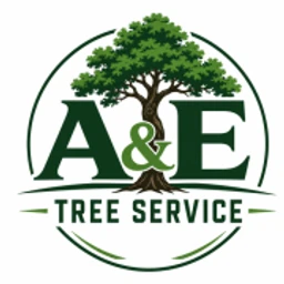 A & E Lawn, Snow and Tree LLC logo