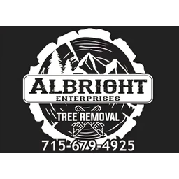 Albright Enterprises logo