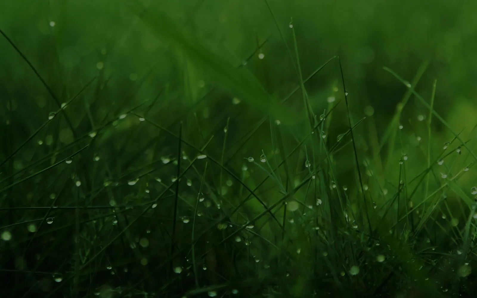 All Turf & Terra in Racine, WI