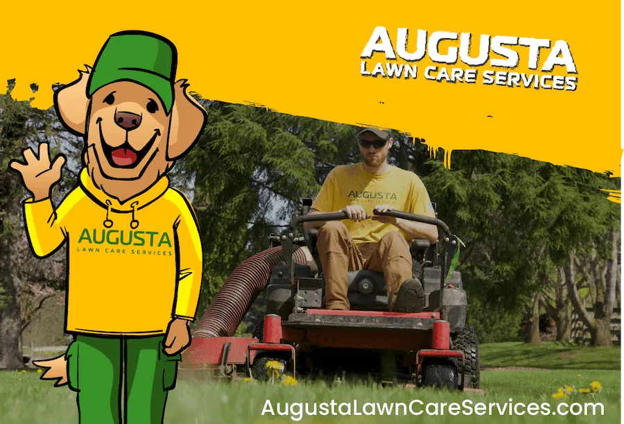 Augusta Lawn Care Services Of Racine in Caledonia, WI