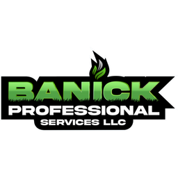 Banick Professional Services logo