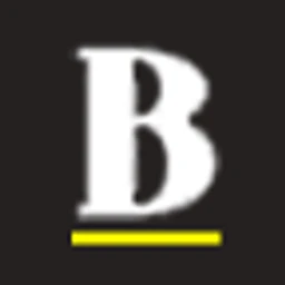Birchwood Snow & Landscape logo