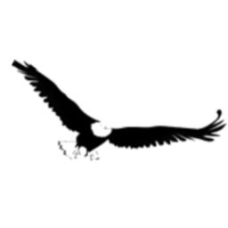 Eagle Tree Care LLC logo