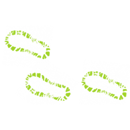 Greenwise Landscapes logo