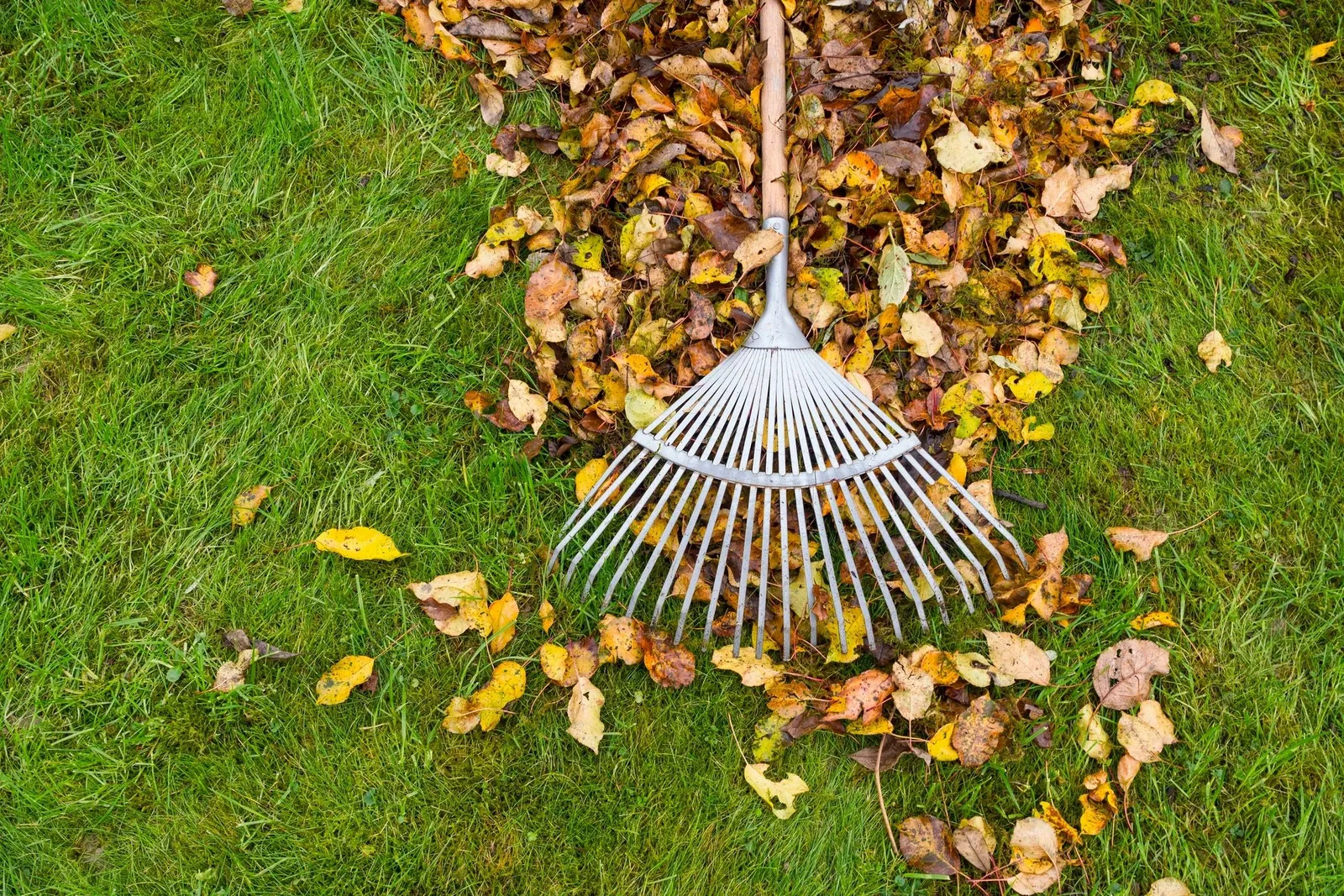 KB’s Mow & Snow LLC in Menomonee Falls, WI