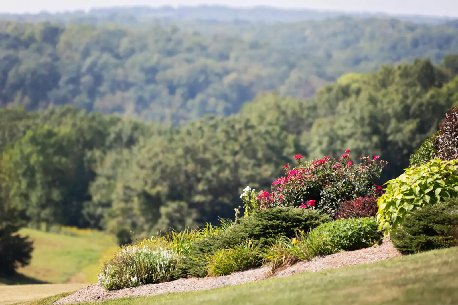 Kittleson Landscape in Blue Mounds, WI