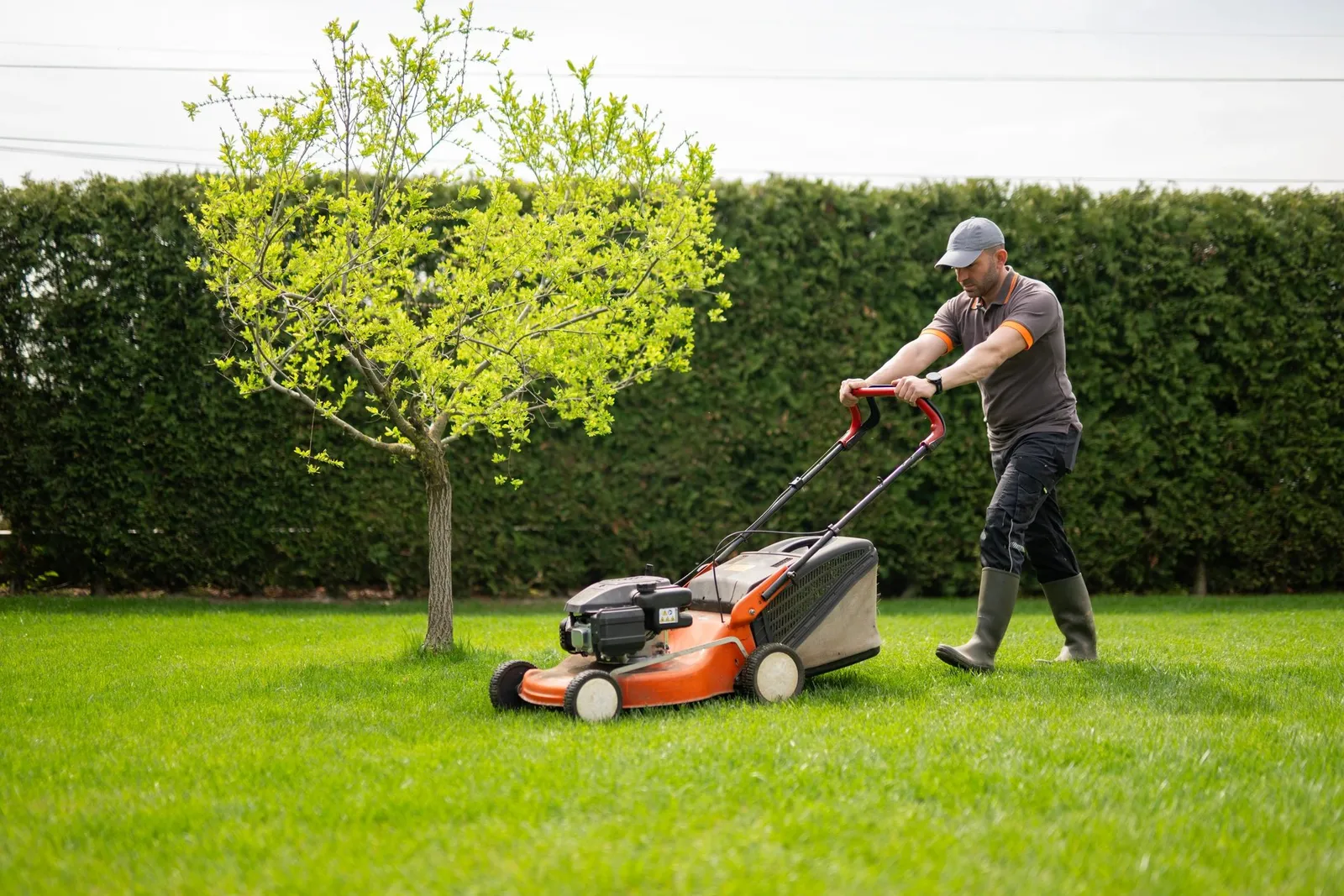 Phoenix landscaping in Milwaukee, WI
