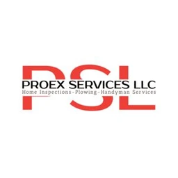 ProEx Services llc logo