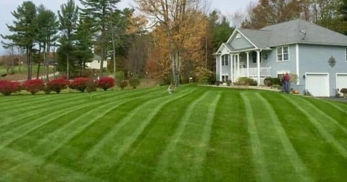 Waukesha Lawn Service in Brookfield, WI